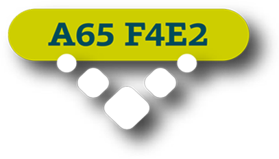 A65 F4E2