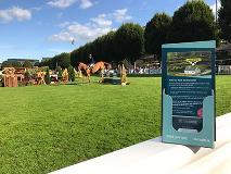 Planning on visiting the DublinHorseShow? 